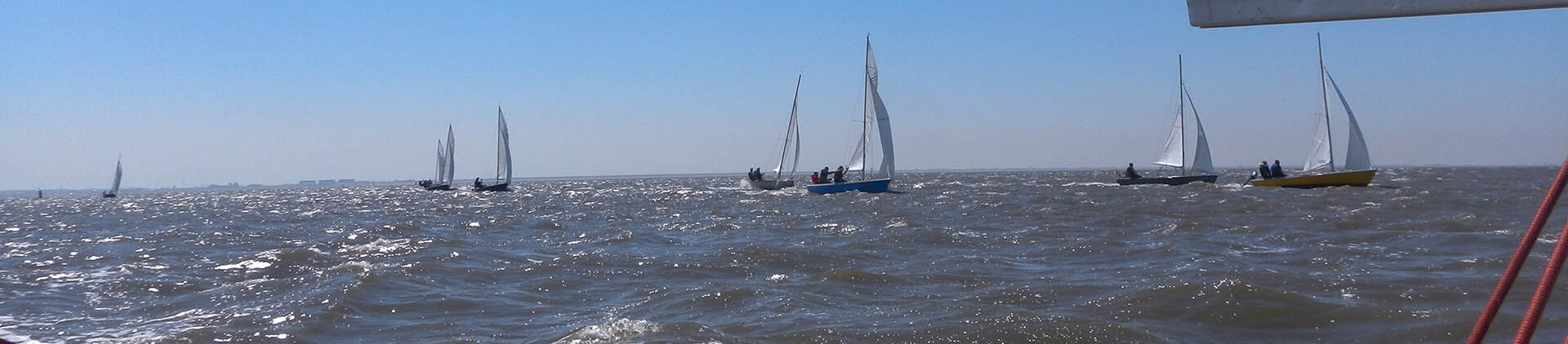 banner-waddentocht-1920x1028