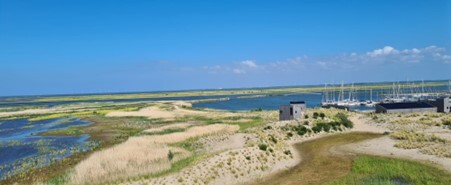 wadden-7